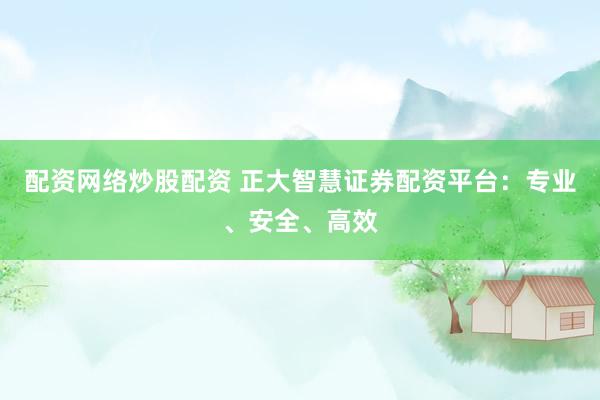 配资网络炒股配资 正大智慧证券配资平台：专业、安全、高效