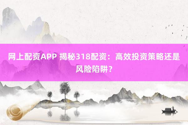 网上配资APP 揭秘318配资：高效投资策略还是风险陷阱？