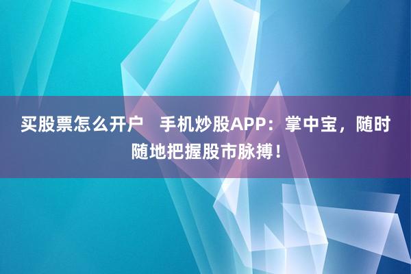 买股票怎么开户   手机炒股APP：掌中宝，随时随地把握股市脉搏！