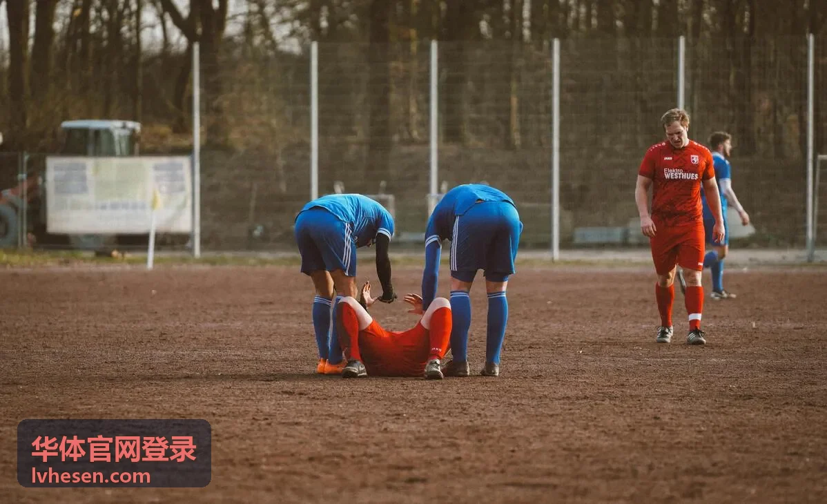 华体官网登录用户头像