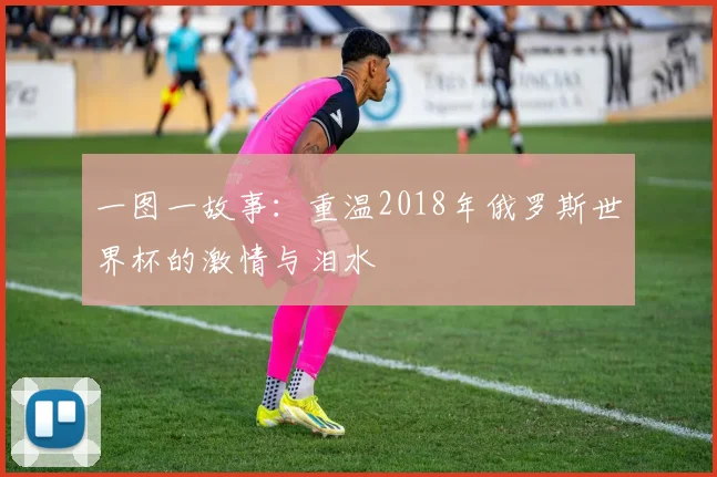 一图一故事：重温2018年俄罗斯世界杯的激情与泪水
