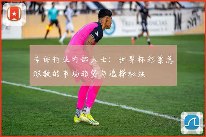 专访行业内部人士：世界杯彩票总球数的市场趋势与选择秘诀