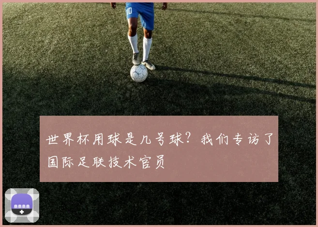 世界杯用球是几号球?我们专访了国际足联技术官员