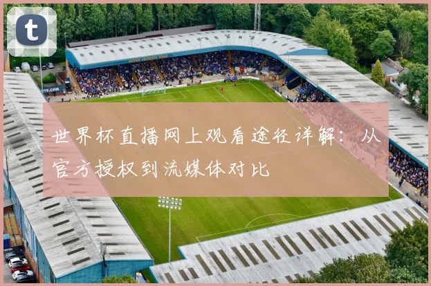 世界杯直播网上观看途径详解：从官方授权到流媒体对比