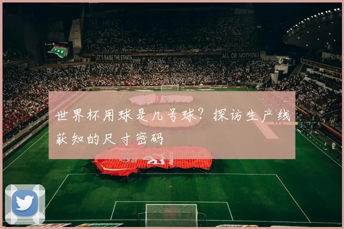 世界杯用球是几号球?探访生产线获知的尺寸密码