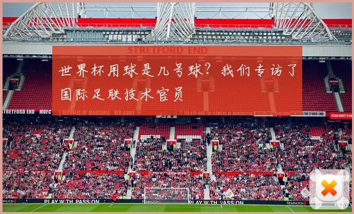 世界杯用球是几号球?我们专访了国际足联技术官员