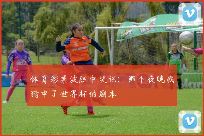体育彩票波胆中奖记：那个夜晚我猜中了世界杯的剧本